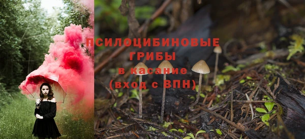 ALPHA-PVP Гусев