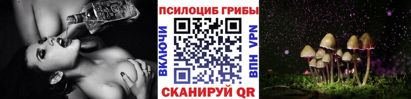 Купить где  Кингисепп  Псилоцибиновые грибы ЛСД 